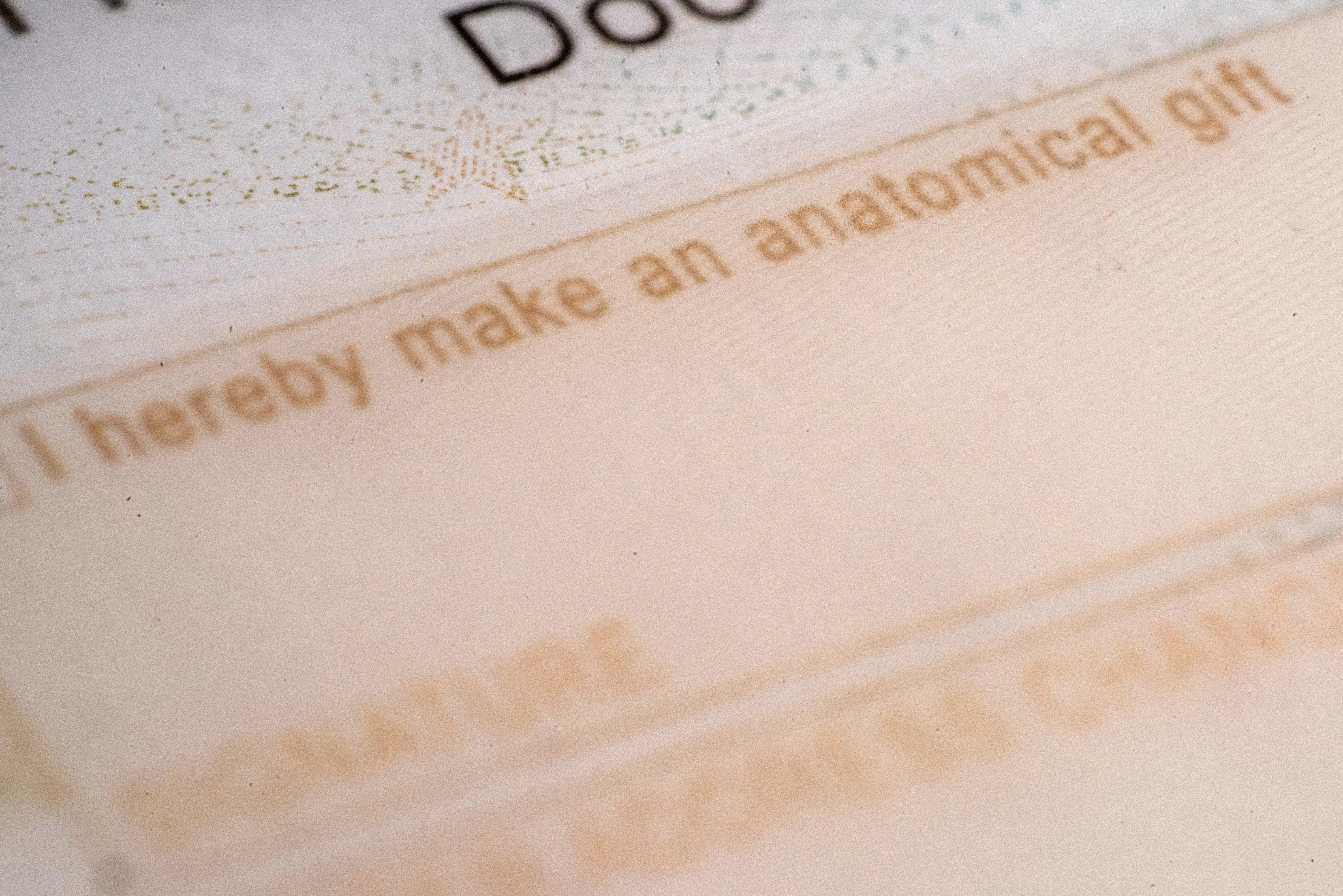 Organ donor option in driver license
