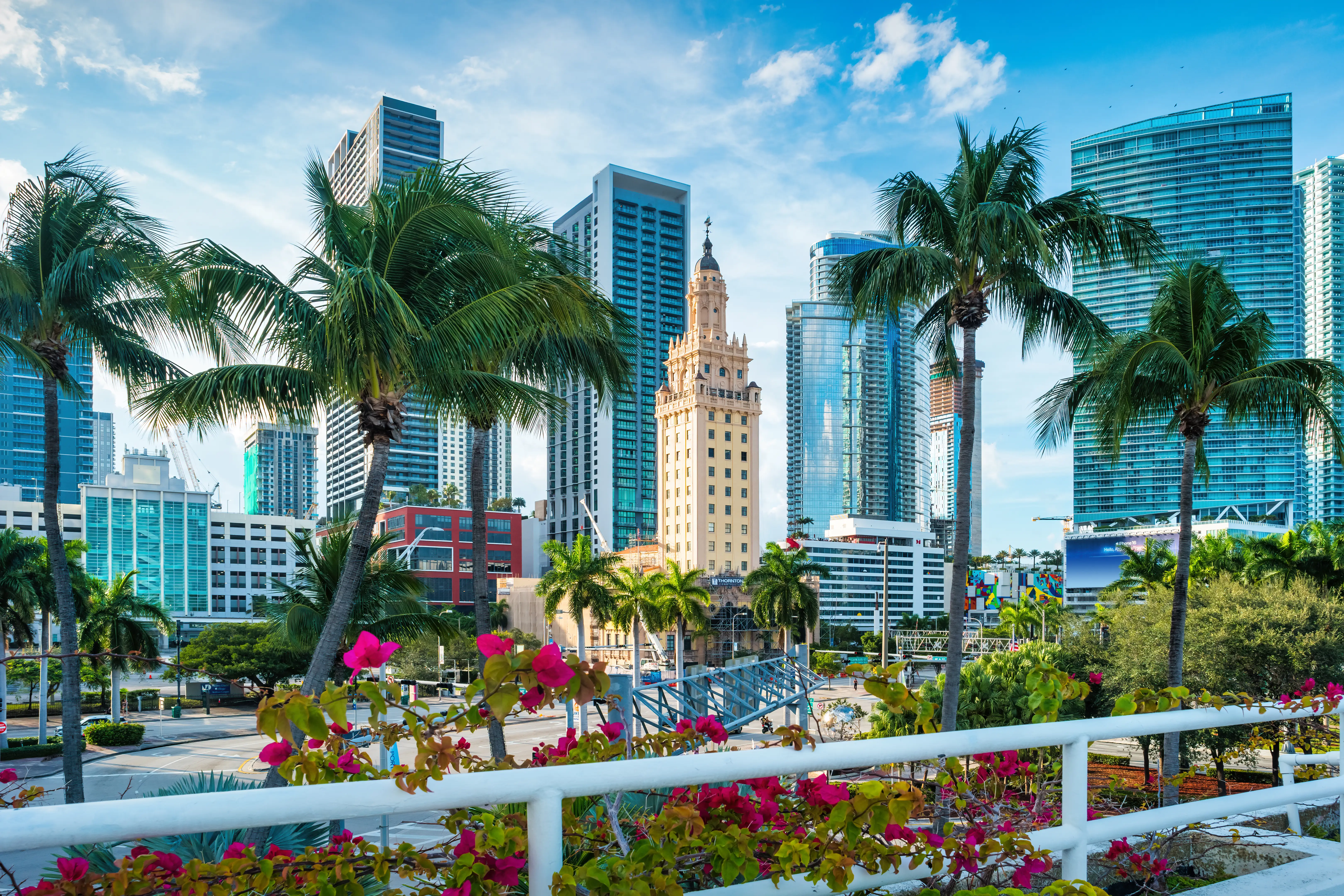 Skyline of downtown Miami with the Freedom Tower, standing among condos, and palm trees.