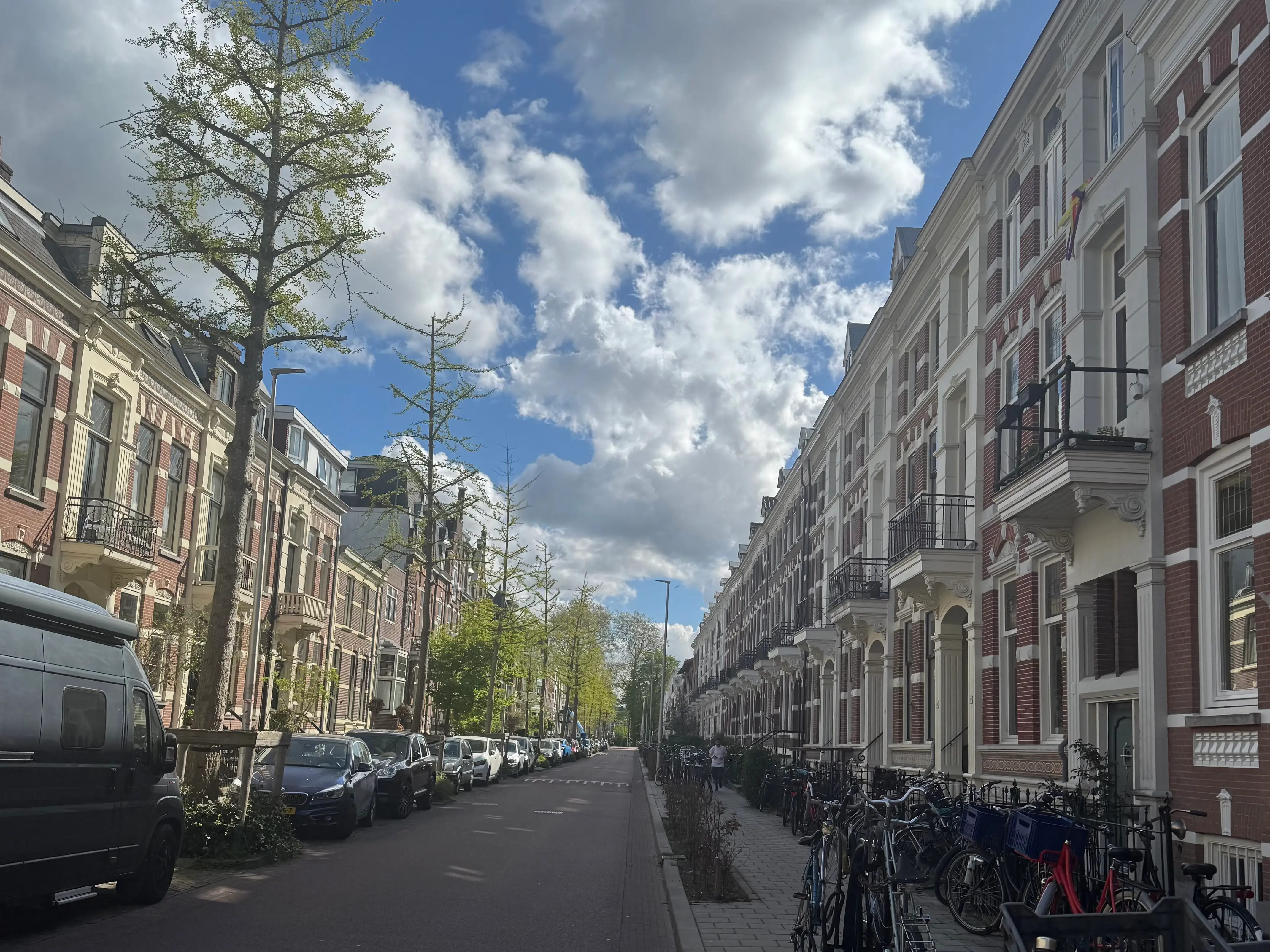 A street in the Netherlands lined with homes.