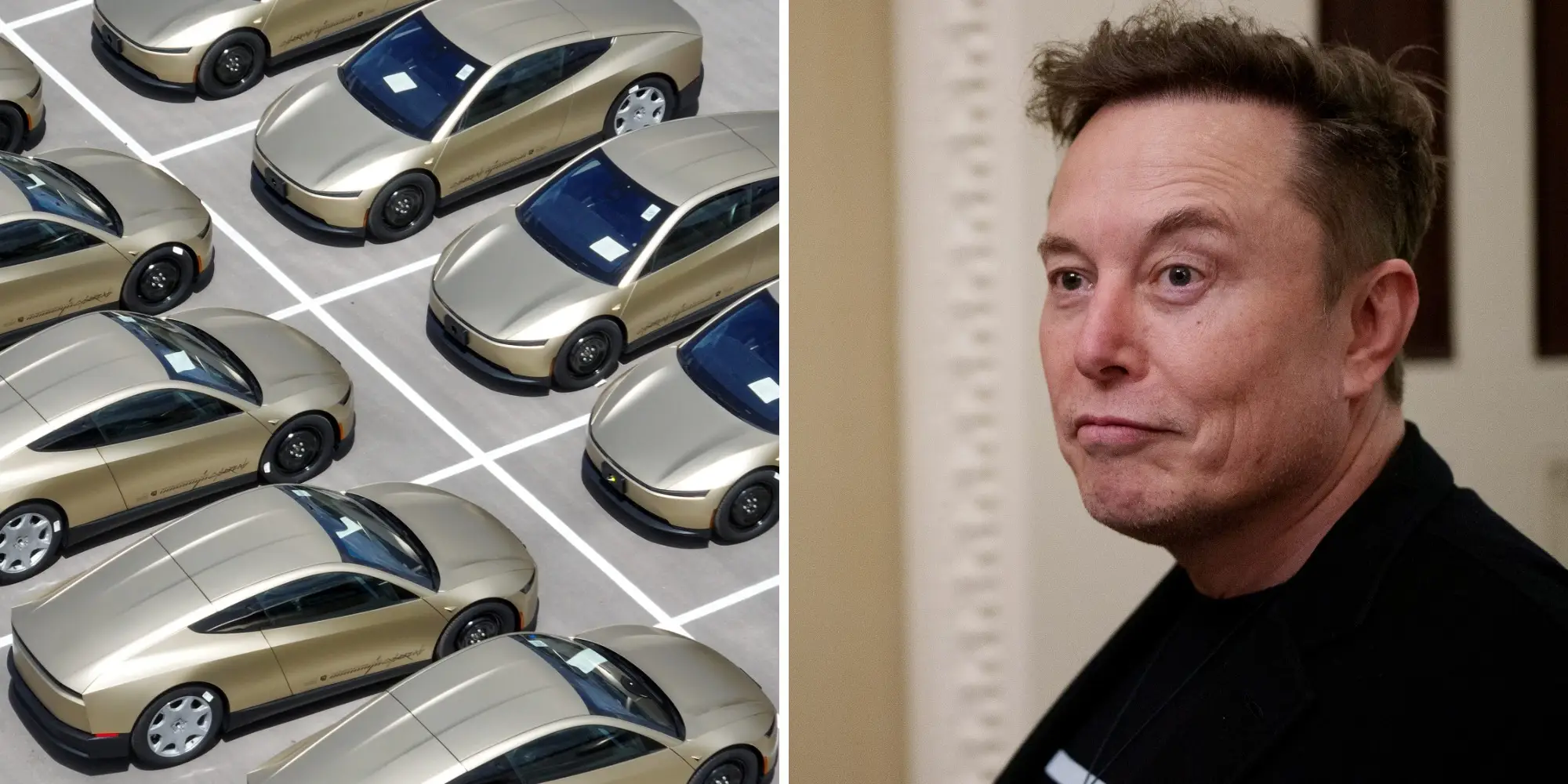 Left: a parking lot filled with Tesla Cybercabs. Right: Tesla CEO Elon Musk.