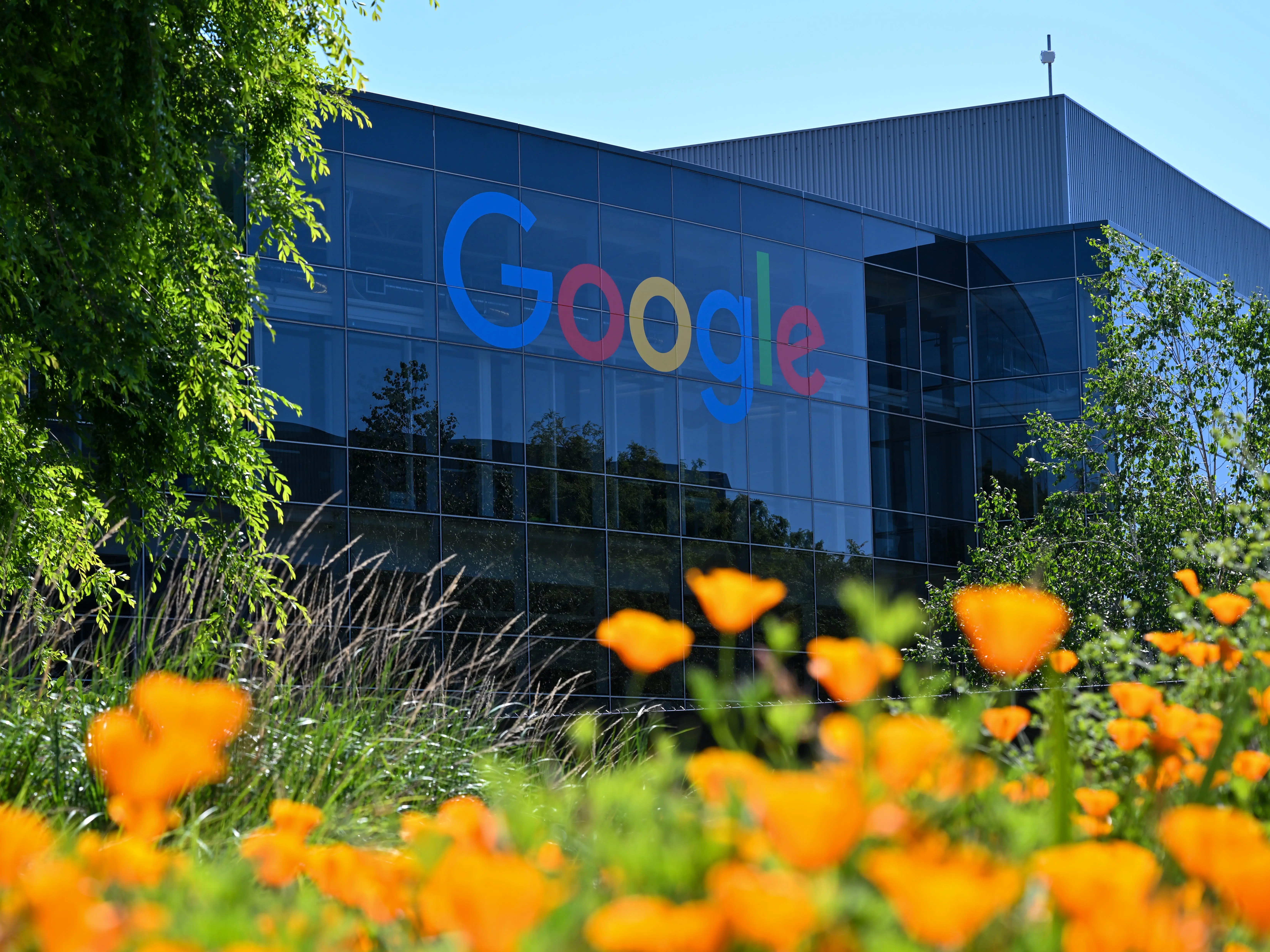 Google logo on a glass office building behind orange flowers and greenery in bright daylight.