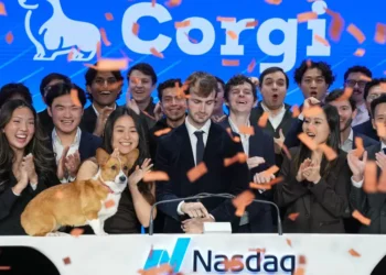 Buzzy insurtech Corgi is hiring experienced investment bankers. The catch? The pay is commission-only.