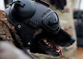 What is Warhound, Palmer Luckey’s war dog startup that just emerged from stealth?