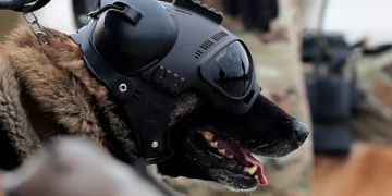 What is Warhound, Palmer Luckey’s war dog startup that just emerged from stealth?