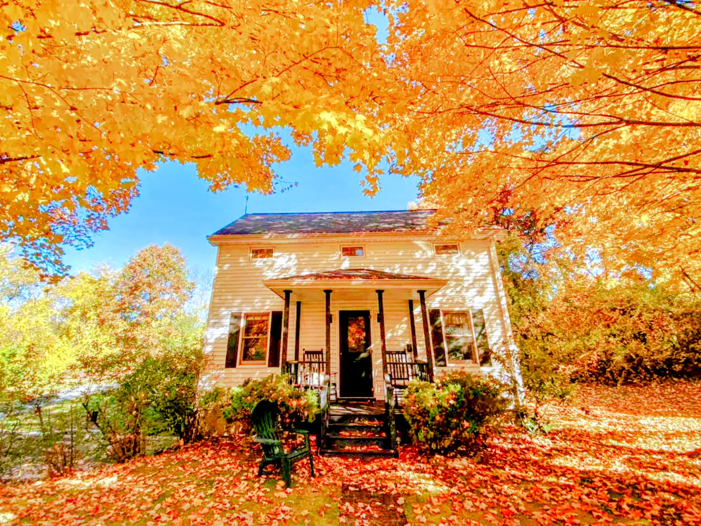White house with front porch surrounded by vivid orange autumn foliage and fallen leaves.