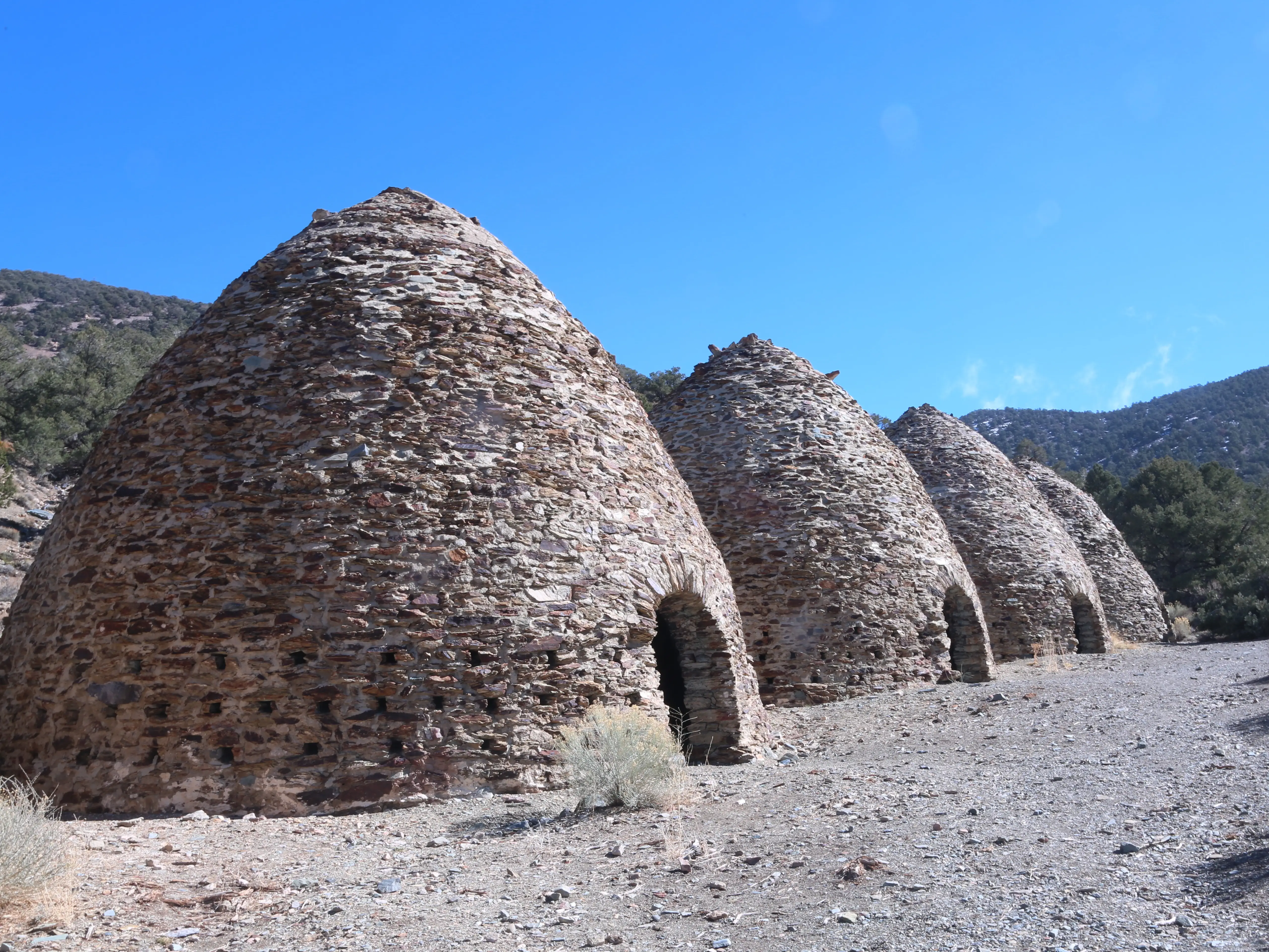 Ward Charcoal Ovens