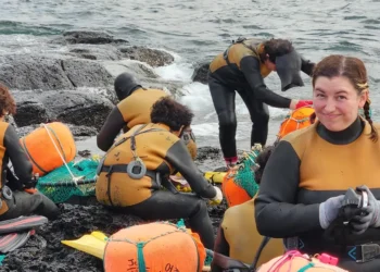 I moved to South Korea with no long-term plan. After 4 years of teaching, I’ve built an unconventional life on an island.