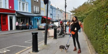 At first, moving to the UK felt like a dream come true. Five years in, I realized it wasn’t for me.