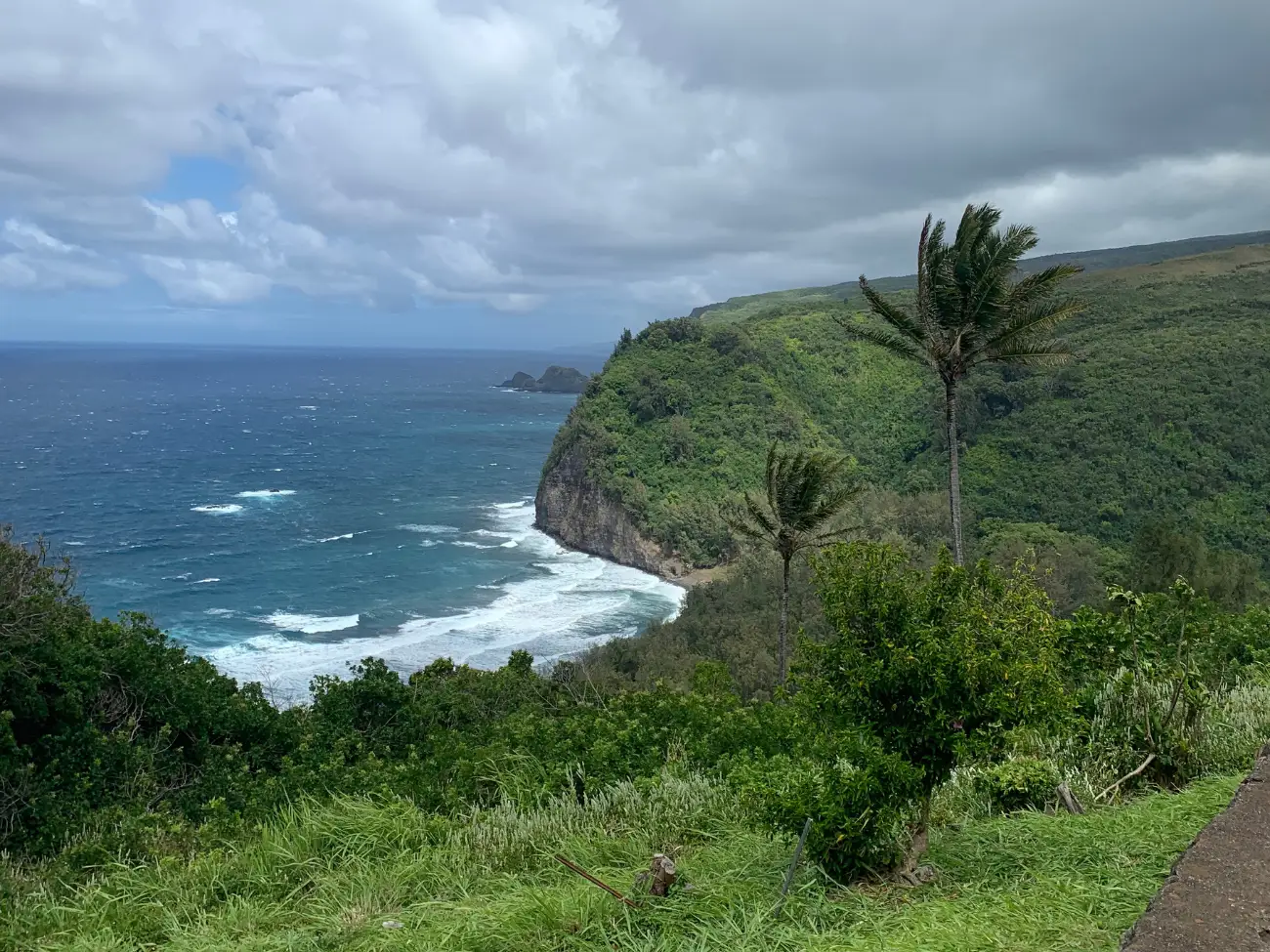 Clouds roll in and the wind blows on the coast of Hawaii.