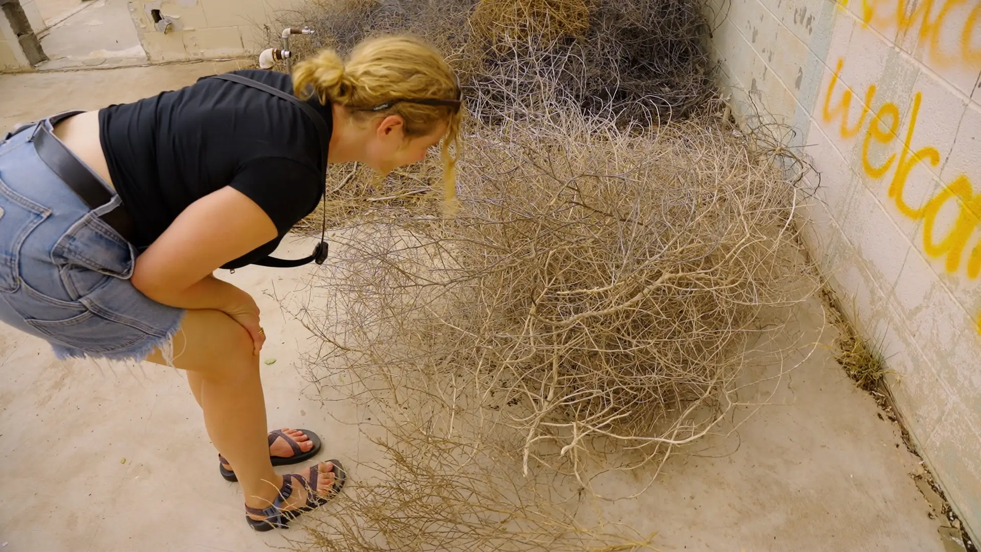 tumbleweeds in glenrio