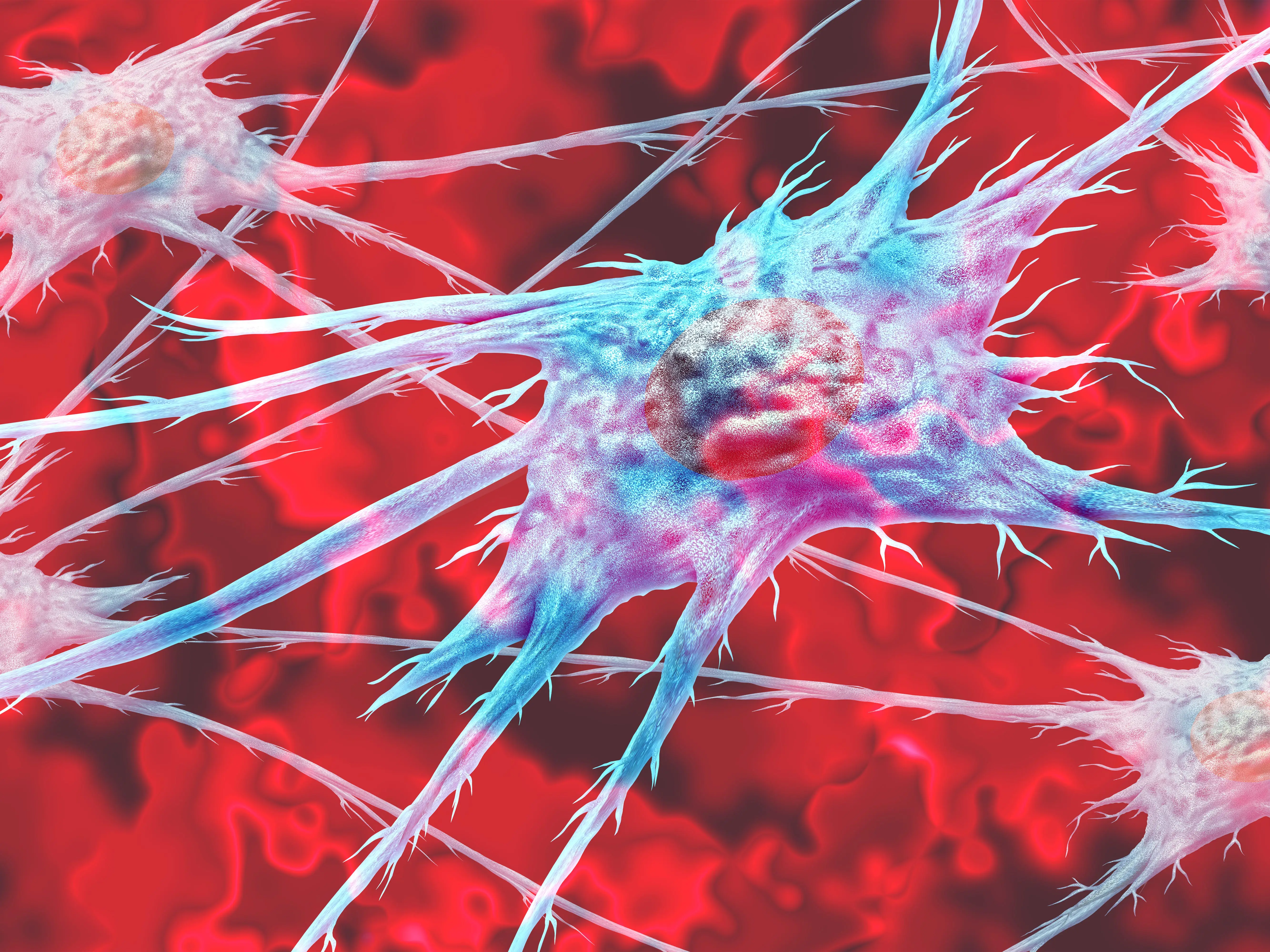 Fibroblasts