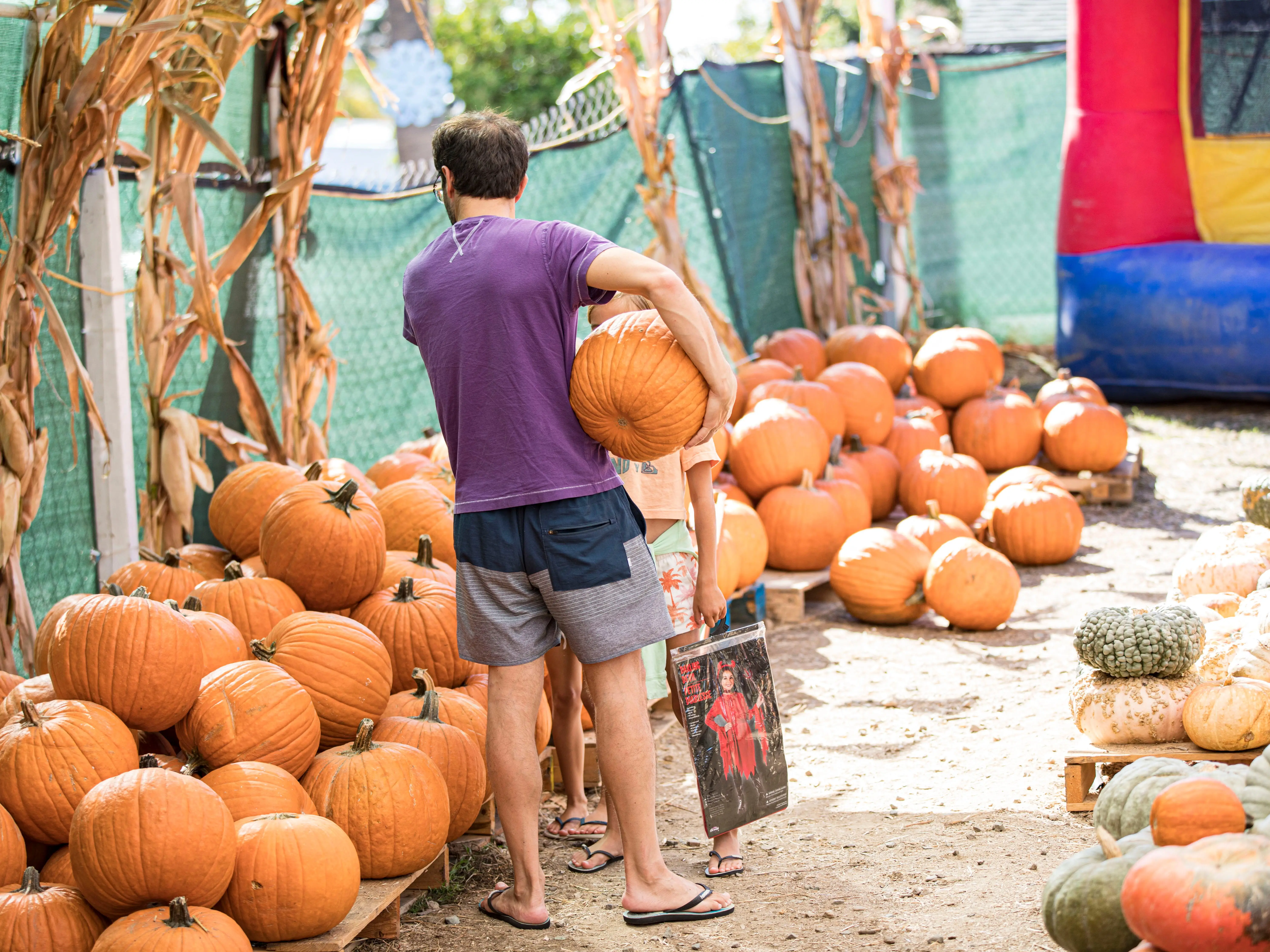 General view of the atmosphere at Mr. Jack O'Lantern's Pumpkin Patch on October 09, 2021 in La Jolla, California.