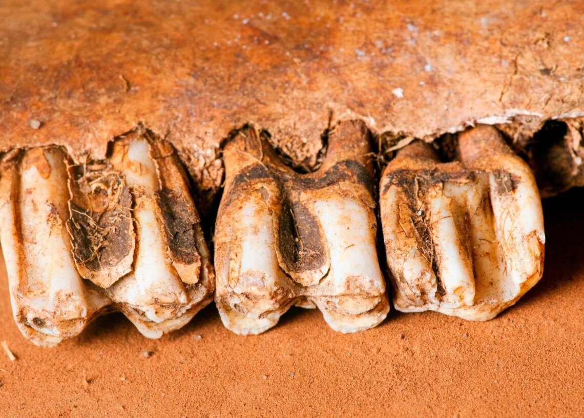 Archaeologists Just Found 226 Human Teeth in an Ancient Maya Burial Cave