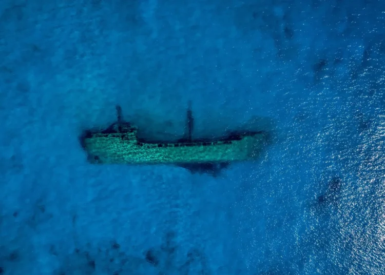 Archaeologists Uncovered a 150-Year-Old Shipwreck That May Have Belonged to Stranded Penguin Hunters