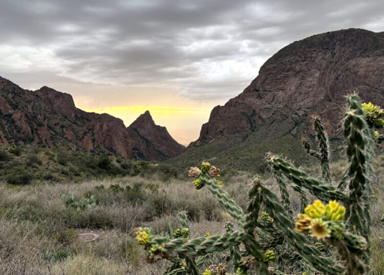 Trump officials ask Supreme Court to let border security project resume in national park