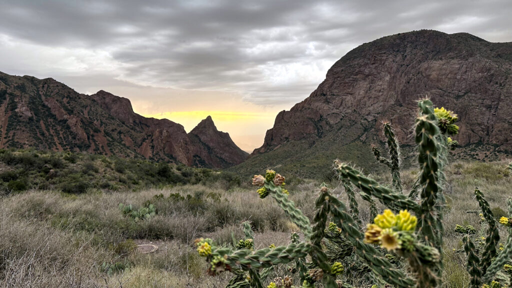 Trump officials ask Supreme Court to let border security project resume in national park