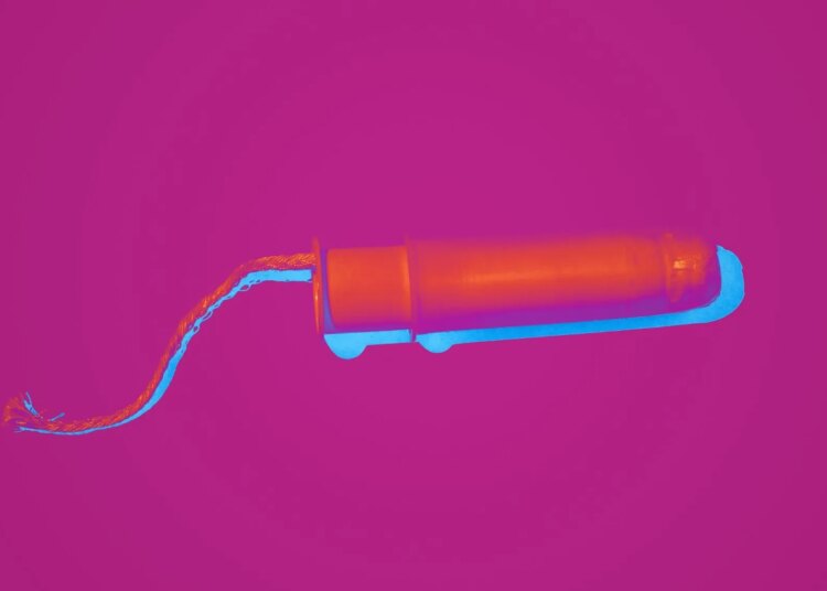 Bryan Johnson’s Girlfriend Has a $16,000 ‘Techno Tampon’ to Track Her ‘Female Erections’
