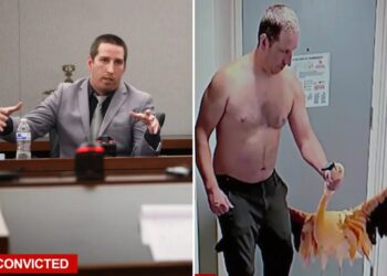 Canadian bozo convicted of animal cruelty for stealing flamingo from Vegas hotel after downing ‘30 to 40’ beers