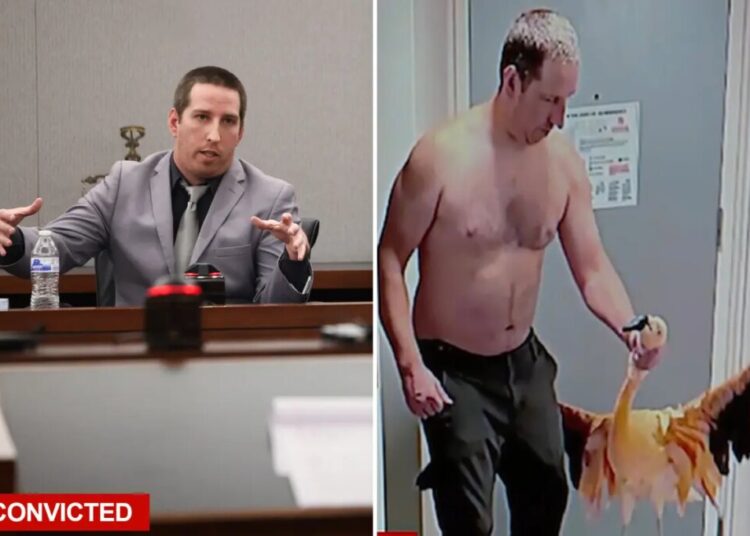 Canadian bozo convicted of animal cruelty for stealing flamingo from Vegas hotel after downing ‘30 to 40’ beers