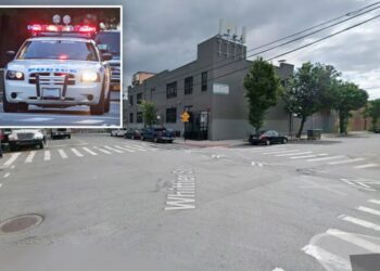 NYPD officer struck in Bronx hit-and-run after rowdy gathering — driver at large