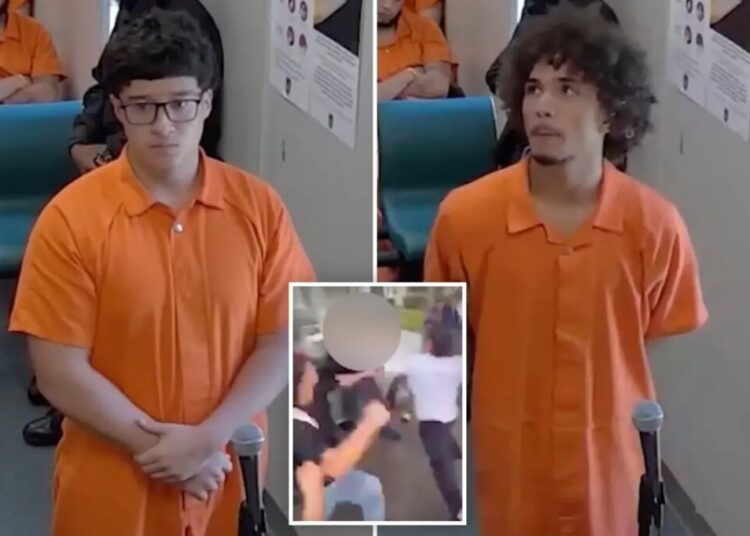 Bullies planted fake shooting threat to smear teen hero they beat up: cops