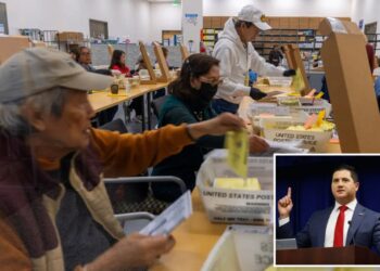 LA feds move to halt ballot counting over 20K suspected noncitizen voters
