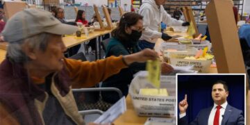 LA feds move to halt ballot counting over 20K suspected noncitizen voters