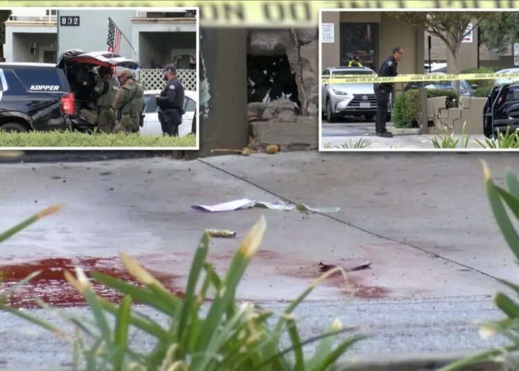 Teen girl killed in LA home as suspect left critically injured after suicide attempt