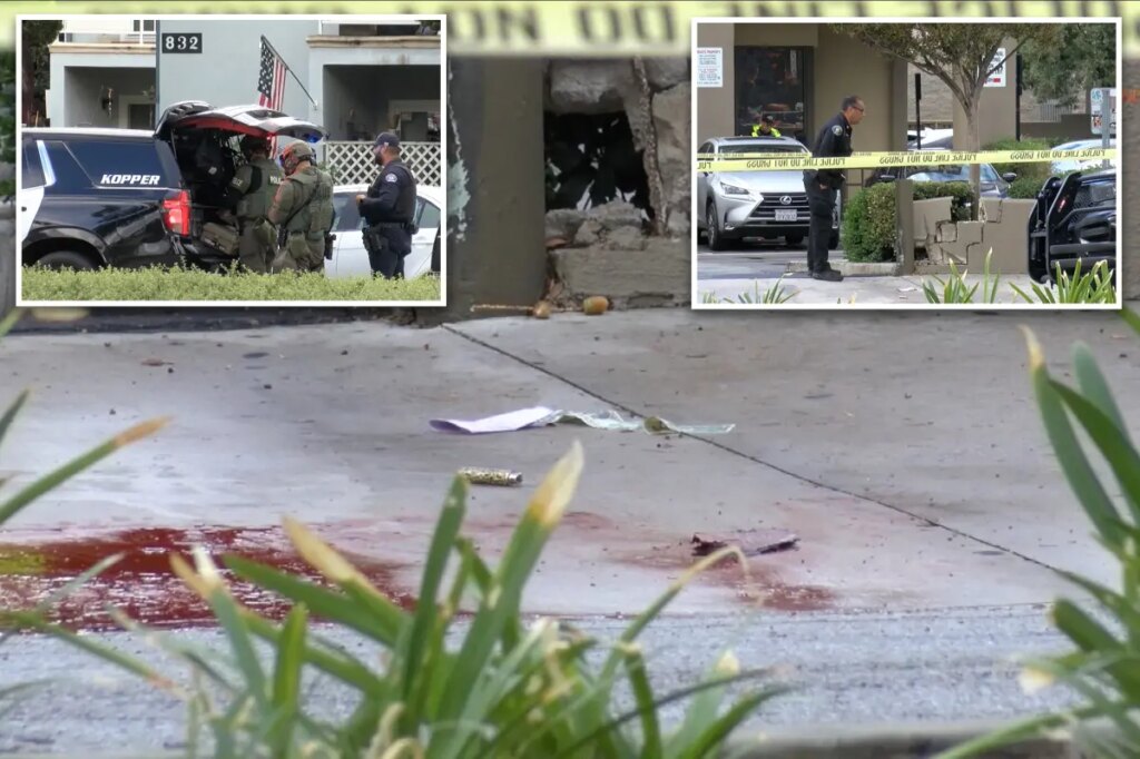 Teen girl killed in LA home as suspect left critically injured after suicide attempt