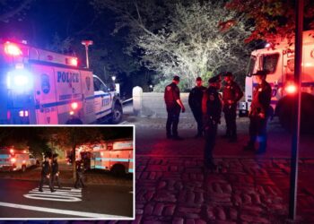 NYC woman sexually assaulted at knifepoint in Central Park: cops