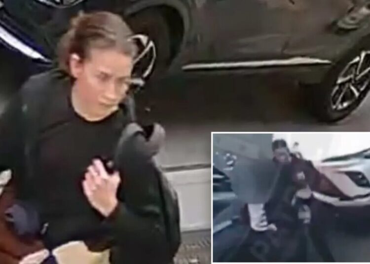 Maniac busted for stabbing rabbi with syringe in NYC — as cops reveal she attacked another Jewish victim hours earlier