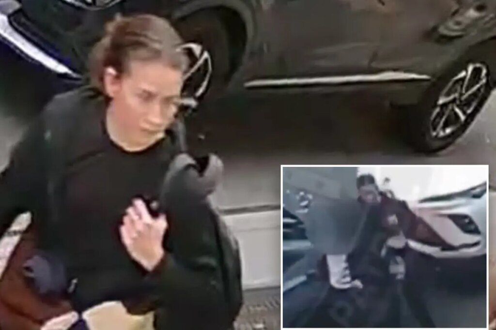 Maniac busted for stabbing rabbi with syringe in NYC — as cops reveal she attacked another Jewish victim hours earlier