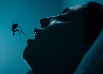 ‘Crawlers’ Review: Hey, There’s a Spider On Your Back: The Movie