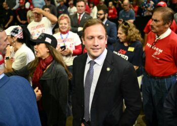 Max Miller, fighting domestic abuse allegations, scrambles to hold House seat