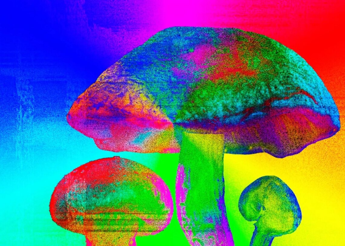 Do Women Experience More Intense Psychedelic Trips Than Men? Here’s What the Science Says.