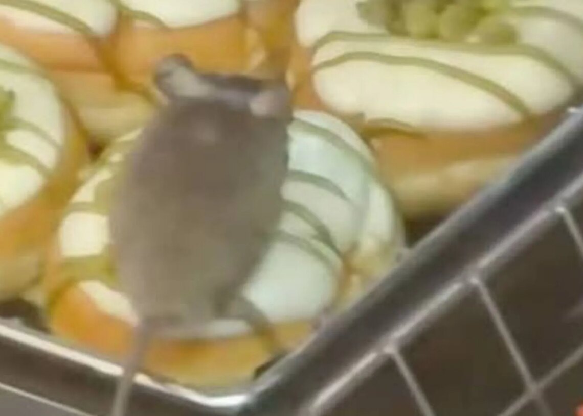 WATCH: Mouse Spotted Sitting on a Dunkin’ Donut in Viral Video