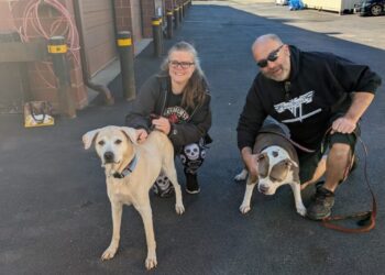This senior dog was given up for euthanasia. A stranger offered her a new life.