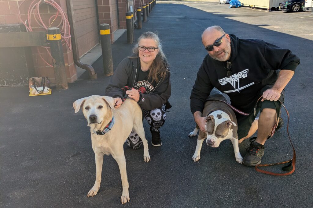 This senior dog was given up for euthanasia. A stranger offered her a new life.