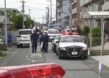 As bear attacks rise, Japan turns to AI, 4-legged robots and pepper-spraying drones