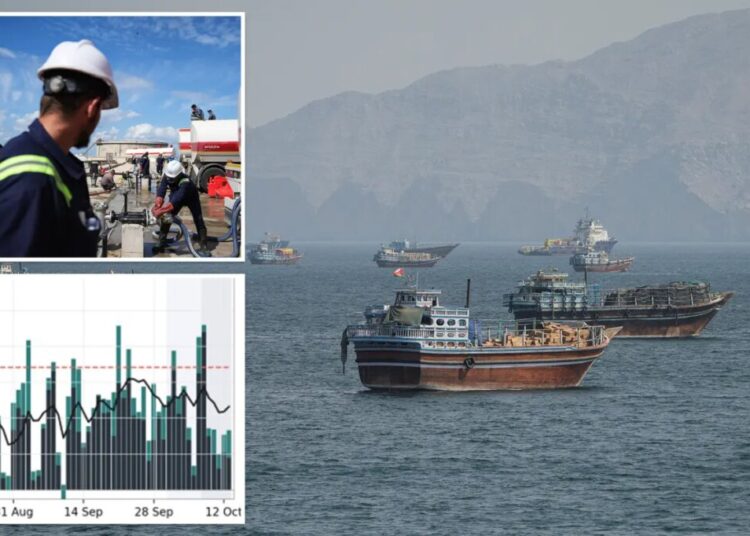 Oil flow through Strait of Hormuz hits 12M barrels a day — defying increasing attacks from Iran