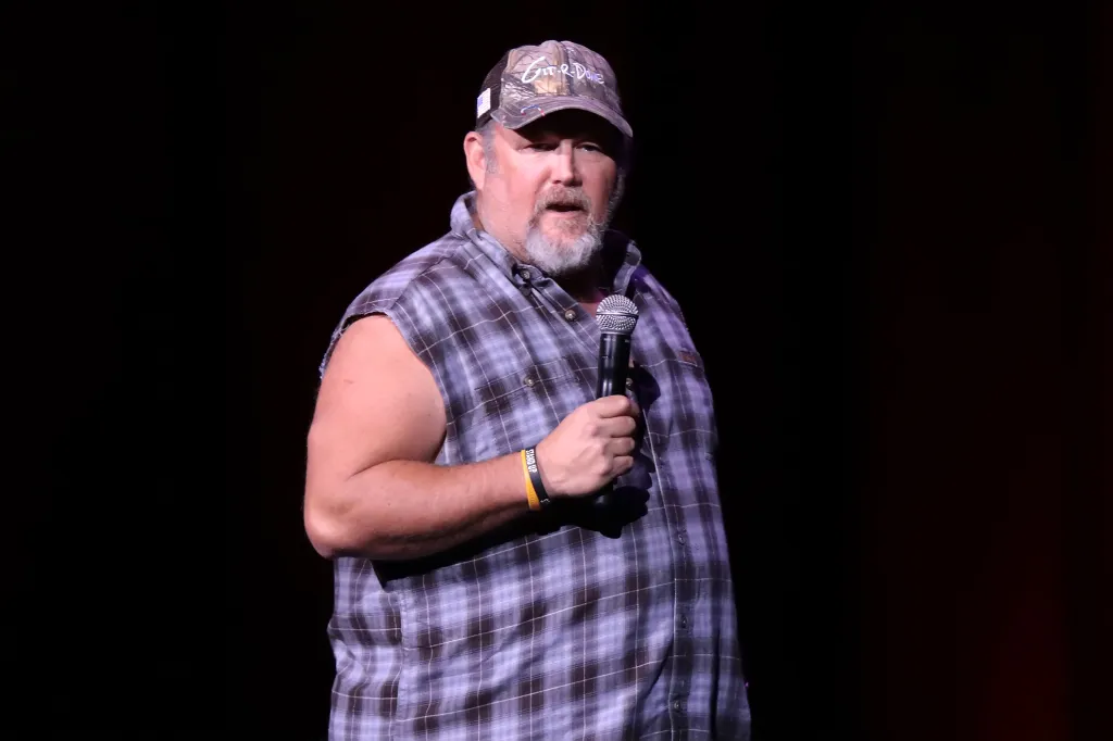 Larry said he believed the company's concern was that his Southern accent and edgy humor might appeal to only one slice of America.