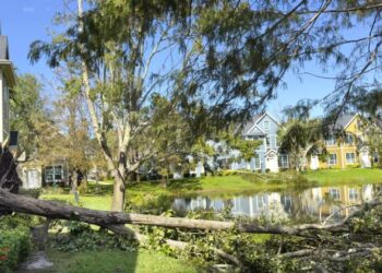 Does home insurance cover storm damage?