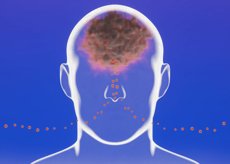 A remarkable new picture is emerging of how the air around us could harm the brain