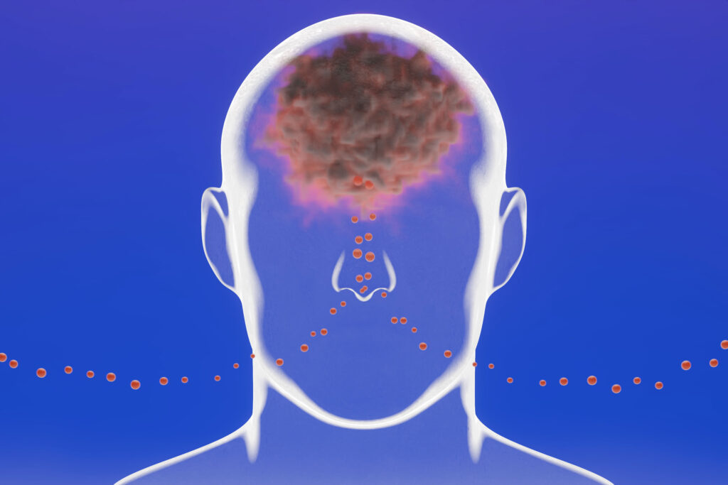 A remarkable new picture is emerging of how the air around us could harm the brain