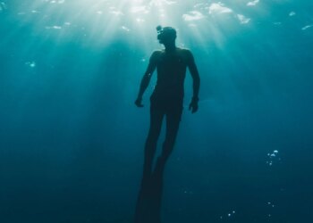 How Do Freedivers Cope With So Little Oxygen? Scientists May Have Found a Clue.