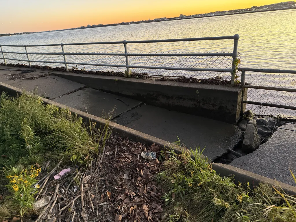 A cracked concrete path beside a calm body of water at sunset, featuring a metal fence and overgrown vegetation.