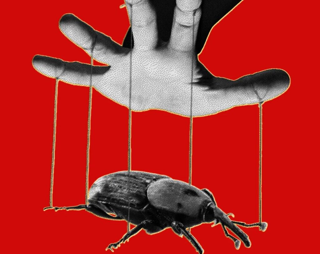 The PHP Meltdown Shows How AI Makes Bugs More Exploitable