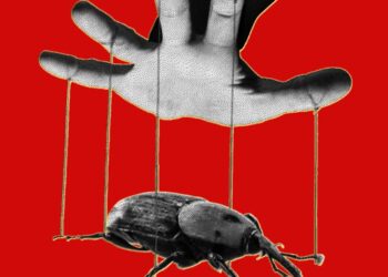 The PHP Meltdown Shows How AI Makes Bugs More Exploitable