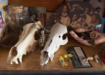 Have a passion for collecting? You, too, can create a ‘pocket museum.’