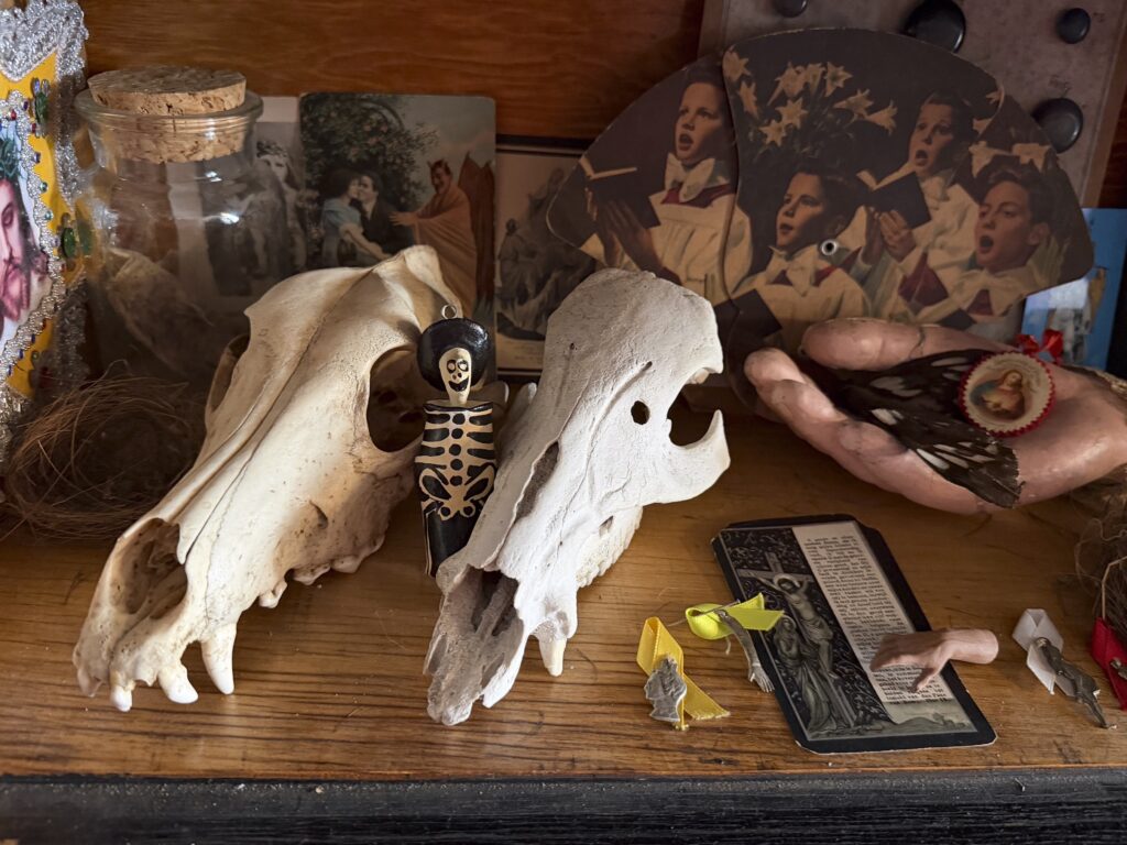 Have a passion for collecting? You, too, can create a ‘pocket museum.’